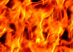 Click here if you don't care for the Word of God!